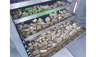 Địa chỉ cung cấp máy sấy trái cây uy tín, chất lượng tại TP. HCM