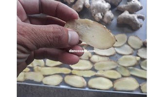 Mua máy sấy trái cây làm trái cây sấy chuẩn bị cho dịp tết 2019