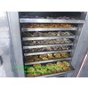 Tủ sấy gừng – Tủ sấy công nghiệp