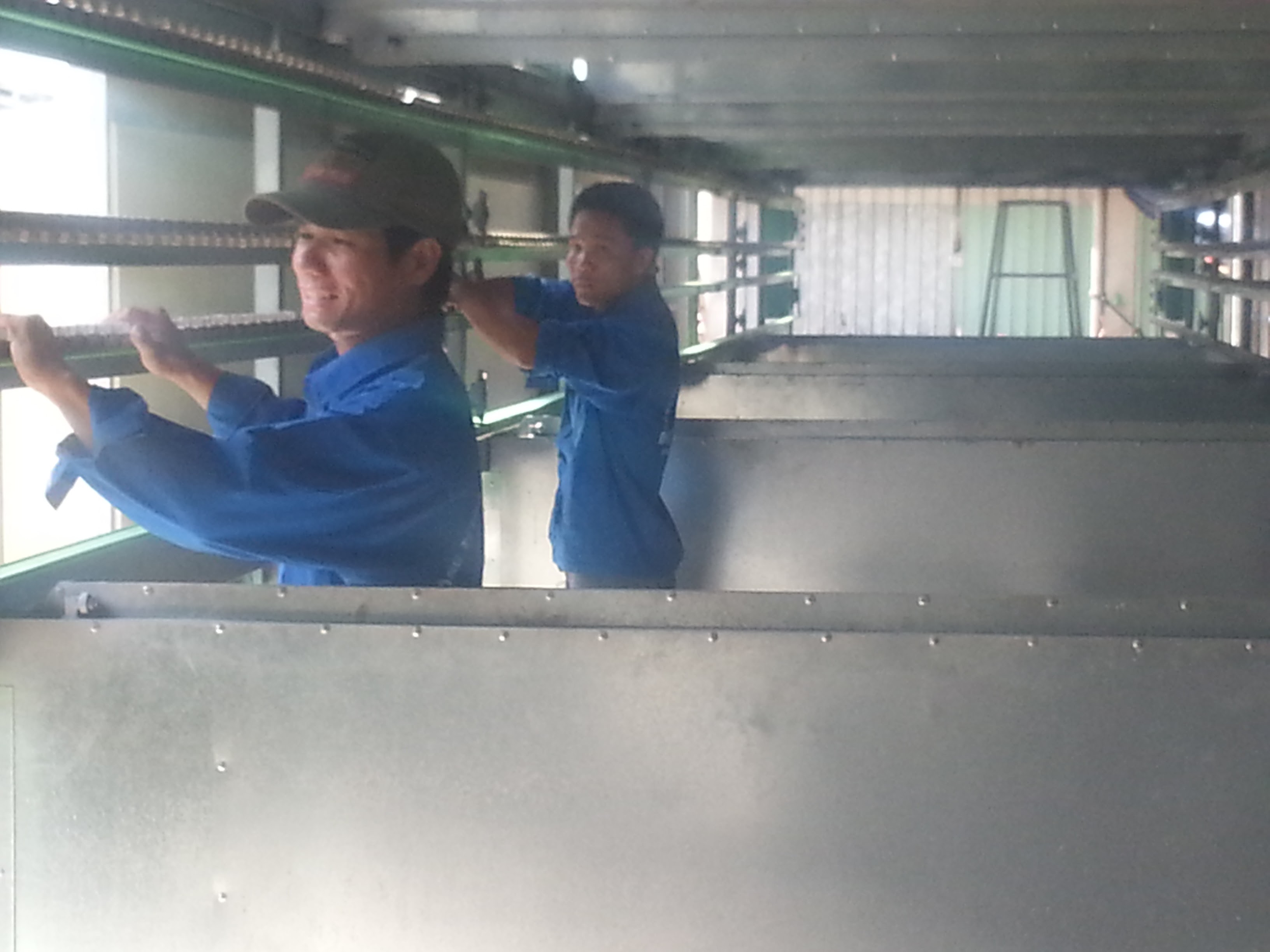 Dây chuyền sấy bún khô hiện đại của Việt Nam - Điện Cơ Xanh