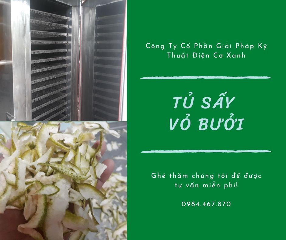 Sấy vỏ bưởi bằng tủ sấy nhiệt thấp - Điện Cơ Xanh