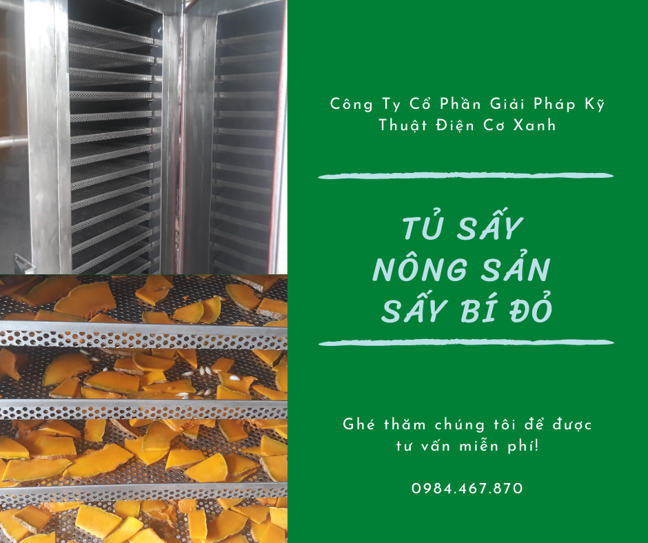Tủ sấy bí đỏ - Tủ sấy công nghiệp