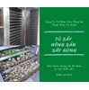 Tủ sấy gừng – Tủ sấy công nghiệp