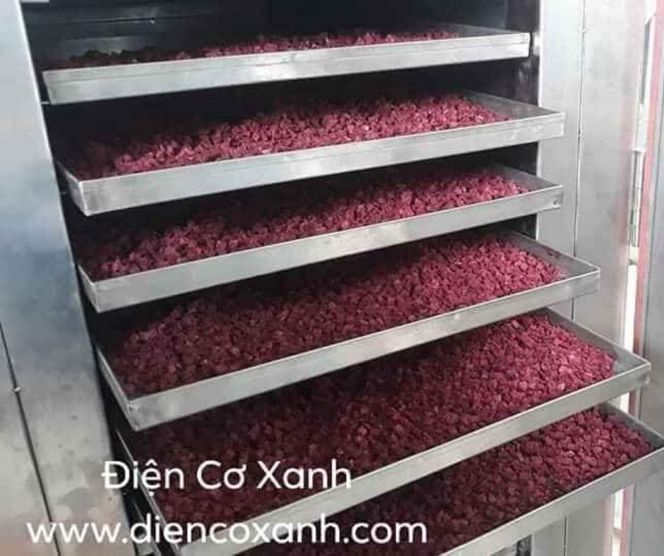 Tủ sấy nông sản 20 khay - Điện Cơ Xanh