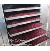 Tủ sấy nông sản 20 khay - Điện Cơ Xanh