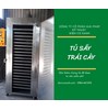 Tủ sấy nông sản, tủ sấy hoa quả - Điện Cơ Xanh
