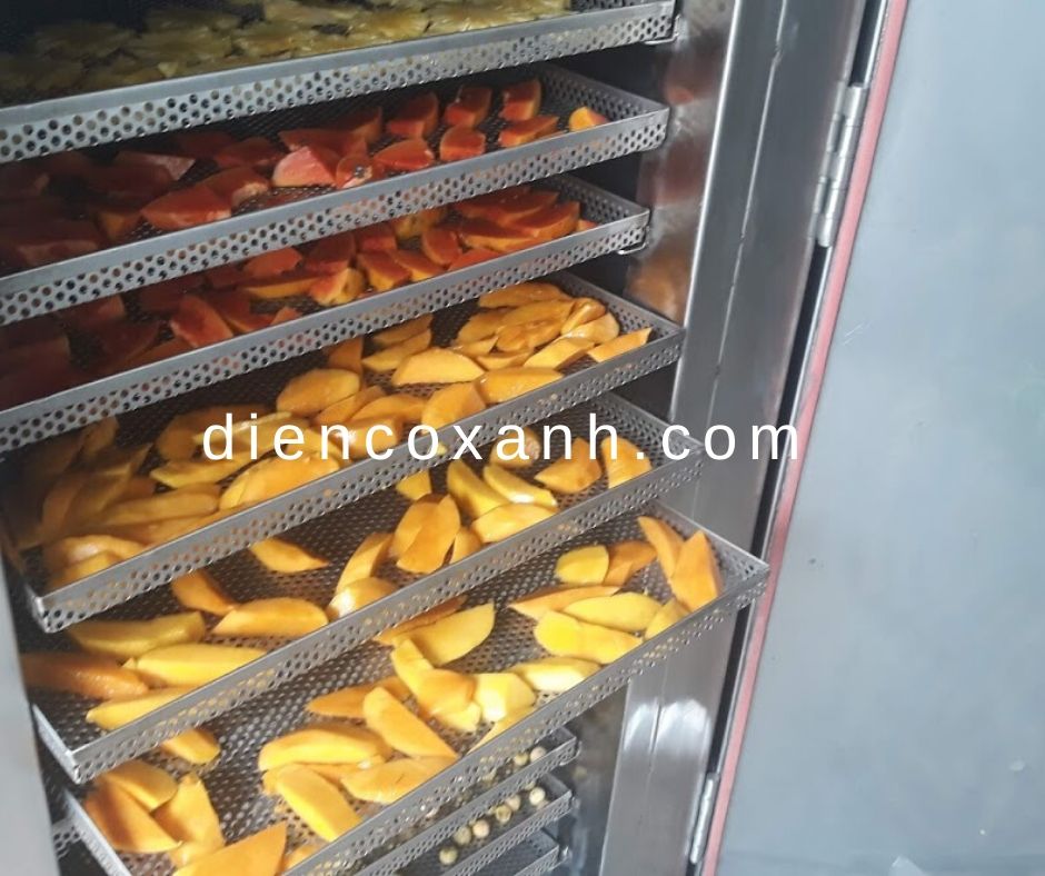 Tủ sấy xoài loại 10 khay - Điện Cơ Xanh