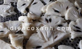 Dây chuyền sản xuất trà mãng cầu