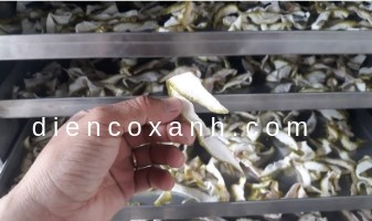 Tủ sấy vỏ bưởi – Tủ sấy công nghiệp